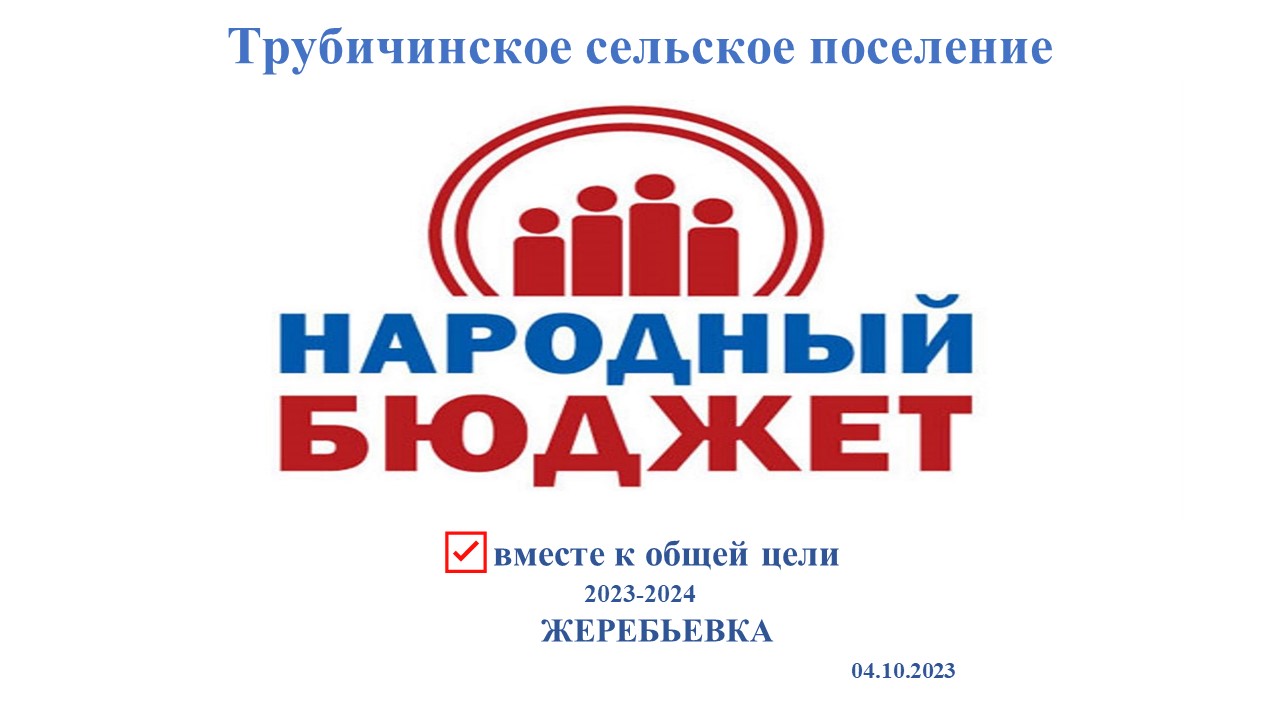 Трубичинское сельское поселение принимает участие в проекте «Народный бюджет 2024».