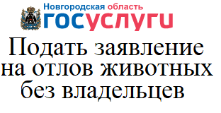 Подать заявление на отлов животных.