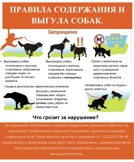 Ответственность за самовыгул собак в 2023 году: какое наказание предусмотрено за собаку без привязи. Ответственность за самовыгул собак в 2023 году: какое наказание предусмотрено за собаку без привязи.