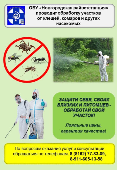 Информация. Информация.