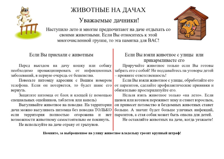 Животные на дачах. Животные на дачах.